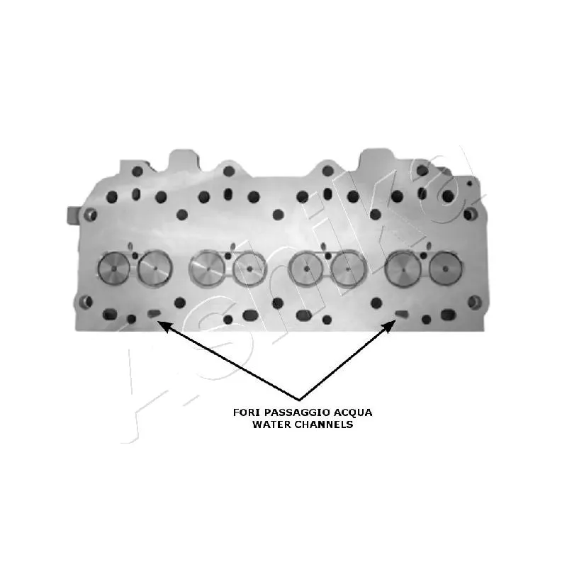 Culasse de cylindre ASHIKA LR001S - Visuel 1