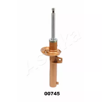 Jeu de 2 amortisseurs avant ASHIKA OEM 5C0413031BP