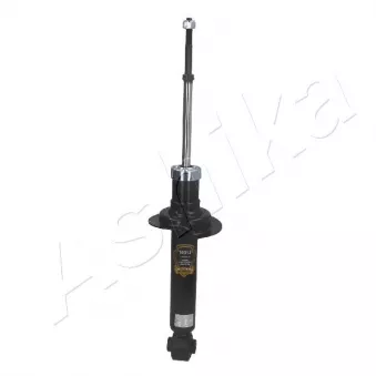 Jeu de 2 amortisseurs arrière ASHIKA OEM 562100N626