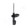 ASHIKA MA-33010 - Amortisseur avant droit 