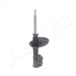 ASHIKA MA-50003 - Amortisseur avant droit 