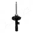 ASHIKA MA-50085 - Amortisseur avant droit 