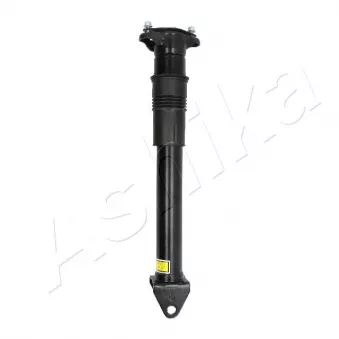 Vérin ASHIKA OEM a2513202231