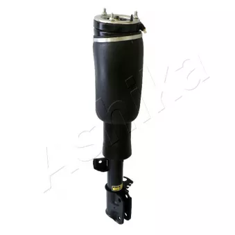 Armortisseur pneumatique avant gauche ASHIKA OEM RNB000070