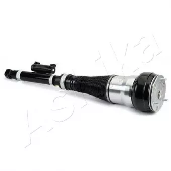 Armortisseur pneumatique arrière gauche ASHIKA OEM a222320531380