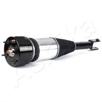 Armortisseur pneumatique ASHIKA OEM C2C20162