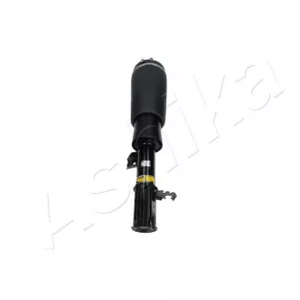Armortisseur pneumatique avant gauche ASHIKA OEM LR032570