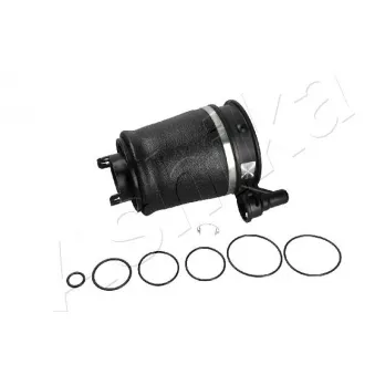 Ressort pneumatique, châssis ASHIKA OEM 6L1Z3C199AA