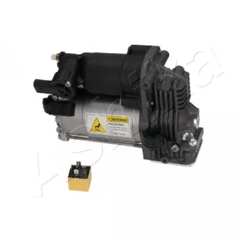 Compresseur, système d'air comprimé ASHIKA OEM A2513201304