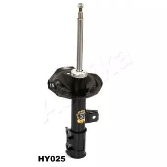 Amortisseur avant droit ASHIKA OEM 546612L101