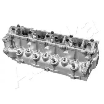 Culasse de cylindre ASHIKA OEM OR2TF10100