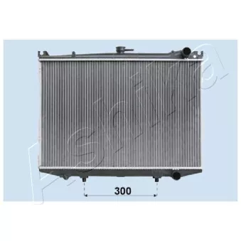 Radiateur, refroidissement du moteur ASHIKA OEM 2141073P00