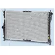 ASHIKA RDA313001 - Radiateur, refroidissement du moteur