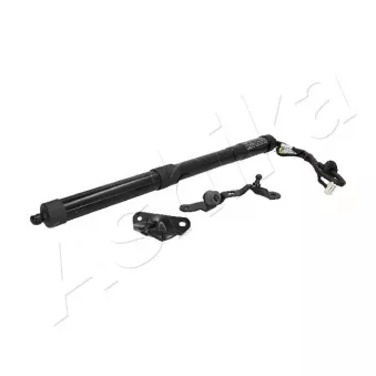 Moteur électrique, hayon arrière droit ASHIKA OEM 6891009010
