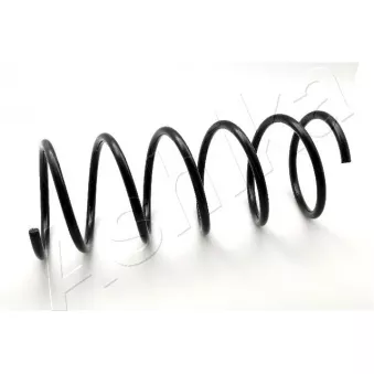 Ressort de suspension ASHIKA OEM 60541189