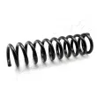 Ressort de suspension ASHIKA [ZCA1471D]