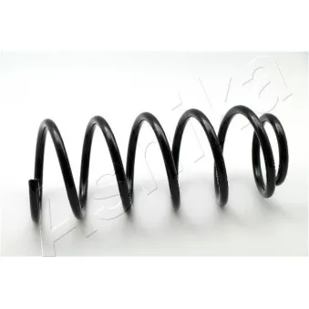 Ressort de suspension ASHIKA OEM 312049