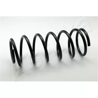 Ressort de suspension ASHIKA OEM 96257713
