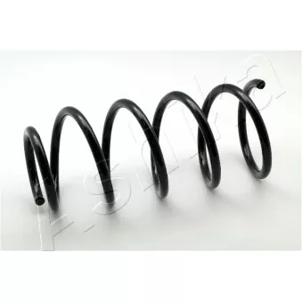 Ressort de suspension ASHIKA OEM 6N0411105R