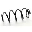 ASHIKA ZCA1713H - Ressort de suspension