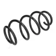 ASHIKA ZCA1716H - Ressort de suspension
