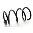 Ressort de suspension ASHIKA [ZCA2113H]