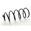 ASHIKA ZCA2247C - Ressort de suspension