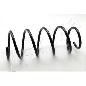 Ressort de suspension ASHIKA OEM 8200193024