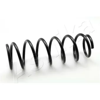 Ressort de suspension ASHIKA OEM 4111181A20