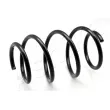 Ressort de suspension ASHIKA [ZCA2507H]