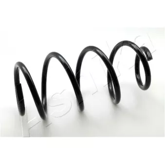Ressort de suspension ASHIKA OEM 8200071765