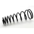 Ressort de suspension ASHIKA [ZCA2768I]
