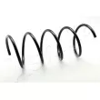ASHIKA ZCA3096A - Ressort de suspension