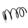 ASHIKA ZCA3141F - Ressort de suspension