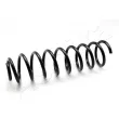 ASHIKA ZCA3156G - Ressort de suspension