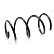 Ressort de suspension ASHIKA [ZCA3184G]