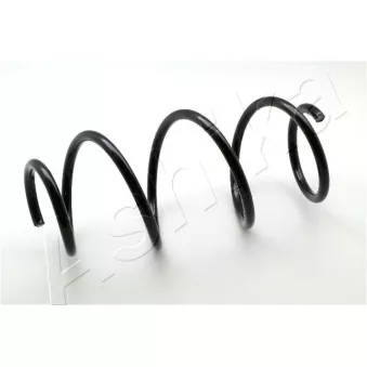Ressort de suspension ASHIKA OEM 540109U21A