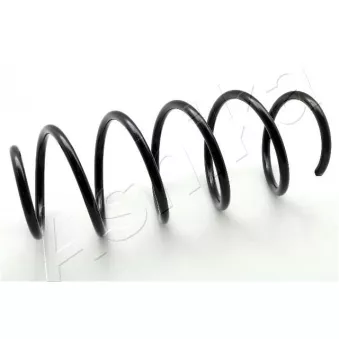 Ressort de suspension ASHIKA OEM 481310D280