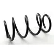 Ressort de suspension ASHIKA [ZCA3352A]