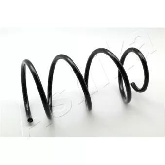 Ressort de suspension ASHIKA OEM 481311N550