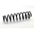 Ressort de suspension ASHIKA [ZCA3432C]