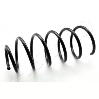 Ressort de suspension ASHIKA OEM 9465464