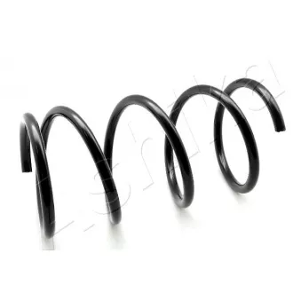 Ressort de suspension ASHIKA OEM 4040A193