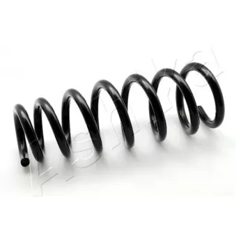 Ressort de suspension ASHIKA OEM 31336778112