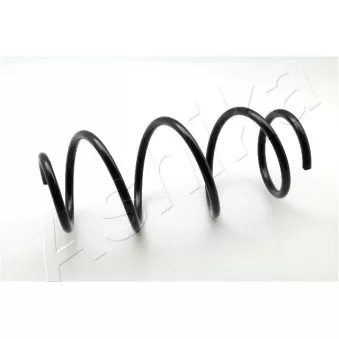 Ressort de suspension ASHIKA OEM 54010AX602