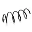 ASHIKA ZCA3999A - Ressort de suspension