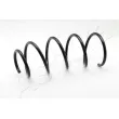 ASHIKA ZCA4001A - Ressort de suspension