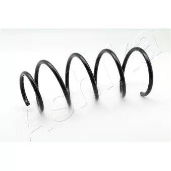 Ressort de suspension ASHIKA OEM 31336767375