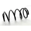Ressort de suspension ASHIKA [ZCA4098A]
