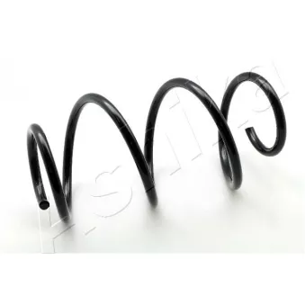 Ressort de suspension ASHIKA OEM 540105074R